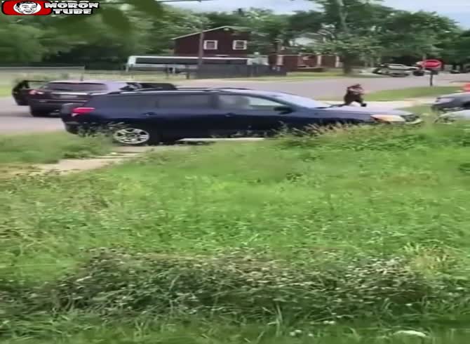 Video :When idiots toss eggs at a home, they immediately receive a dose of karma